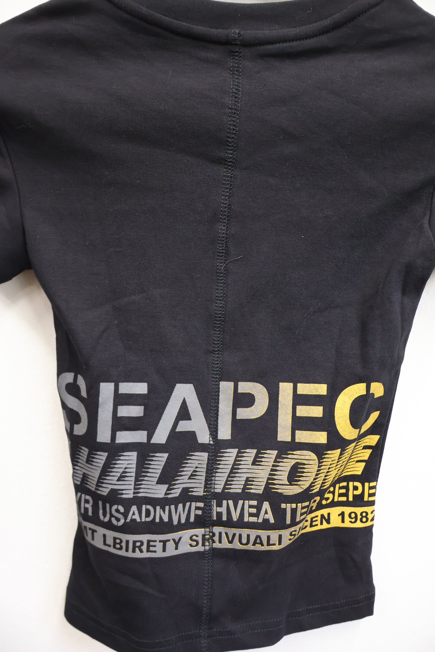 Havoc Print Top A495