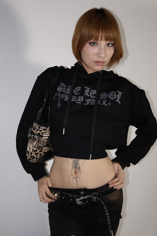 25-920 Logo Crop Hoodie  A349