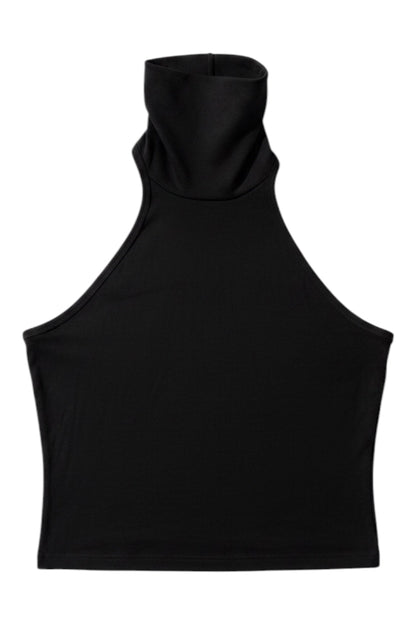 25-875 Ribbed Turtleneck A598
