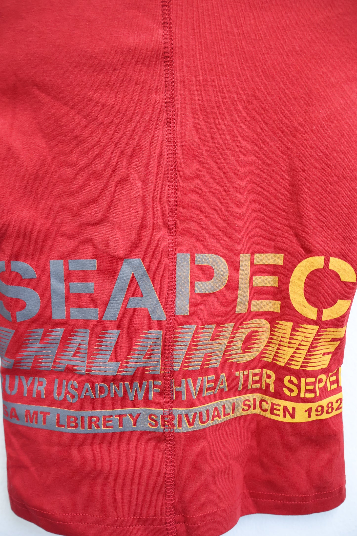 Havoc Print Top A495