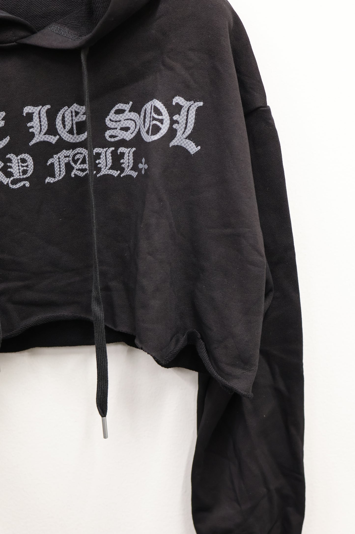 25-920 Logo Crop Hoodie  A349