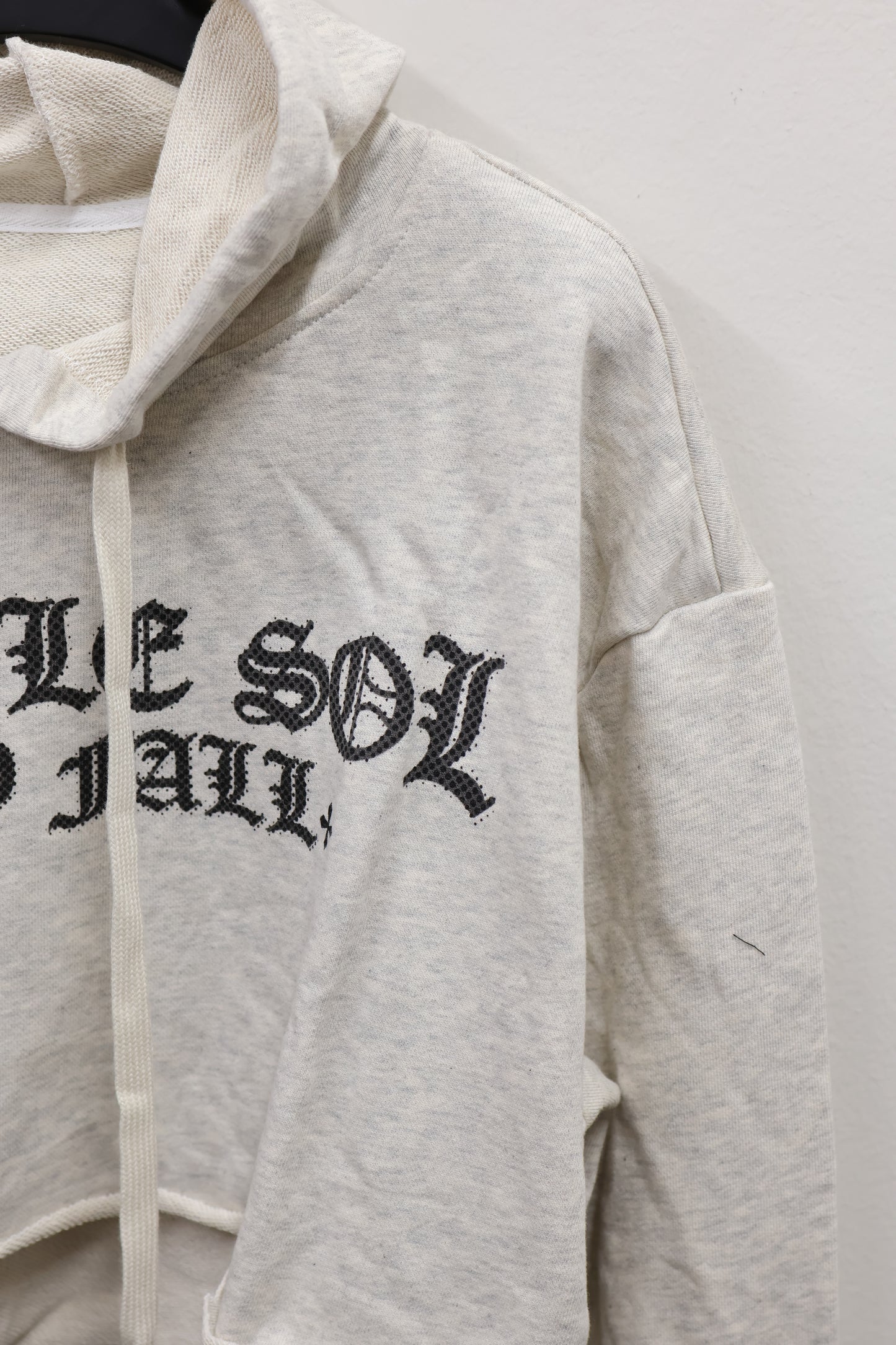 25-920 Logo Crop Hoodie  A349